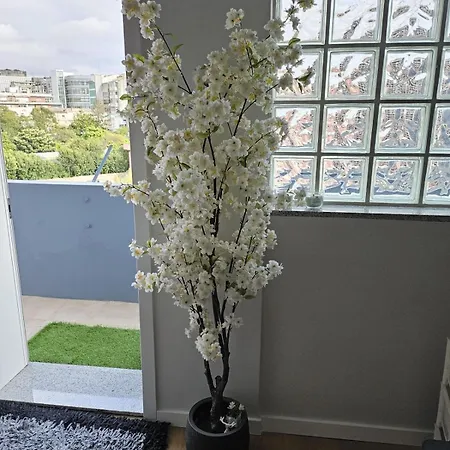 דירה Bright 3-bedroom - Boavista & Casa Da Musica פורטו