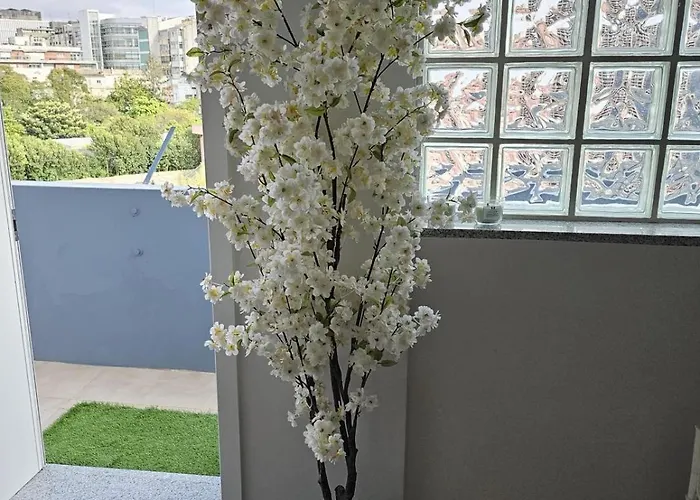 Appartement Boavista Family T3 Porto