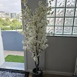 דירה Bright 3-Bedroom Apartment - Boavista & Casa Da Musica פורטו