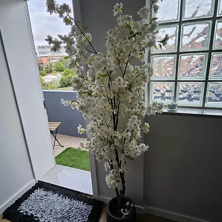 Apartment Boavista Family T3